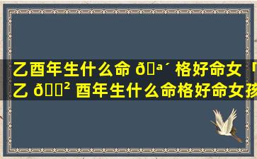 乙酉年生什么命 🪴 格好命女「乙 🌲 酉年生什么命格好命女孩」